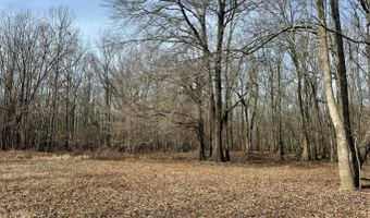 Putnam Road, Belzoni, MS 39038