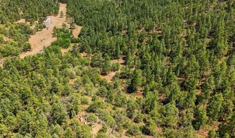 17775 County Road 51, Boncarbo, CO 81024