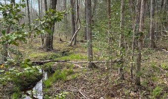 28 14 Chalk Level Rd Lot 1, Alberta, VA 23821
