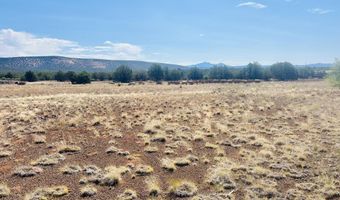 3607 N Double A Ranch Rd, Ash Fork, AZ 86320