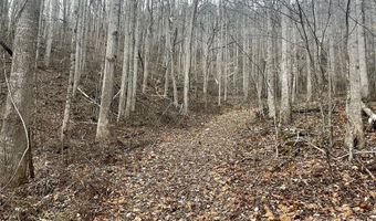 Martins Creek Road, Barnardsville, NC 28709