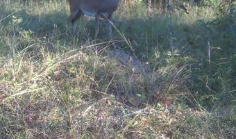 N80 Helt Rd, Antlers, OK 74525