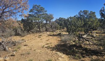 4 County Rd, Concho, AZ 85924