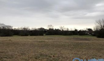 8 9 Acres Hwy 31, Athens, AL 35611