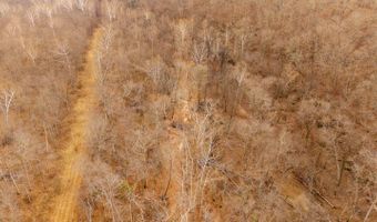 County Road 19-A, Alton, MO 65606