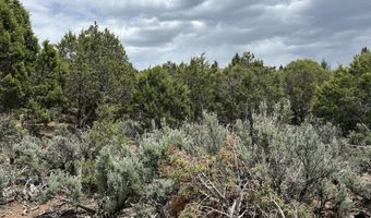 151 Monarch Rd, Glenwood Springs, CO 81601