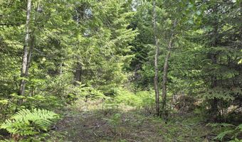 5784 River Rd, Clark Fork, ID 83811