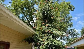 146 Washington Ave, Alden, MN 56009