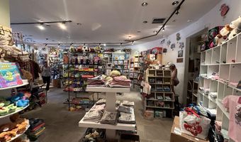 635 E Cooper Ave, Aspen, CO 81611