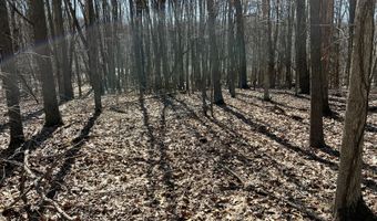5725 Whitneyville Ave SE, Alto, MI 49302