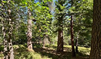 1647 Gertrude Way, Arnold, CA 95223