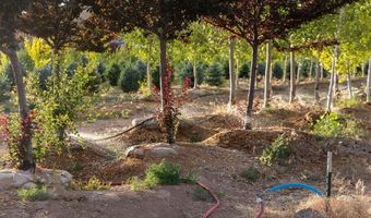9001 2100 Rd, Austin, CO 81410