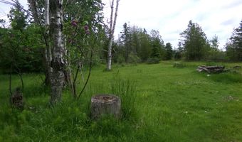 3305 El Cajon Beach Rd, Alpena, MI 49707