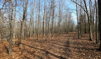 County Road 529, Ava, MO 65608