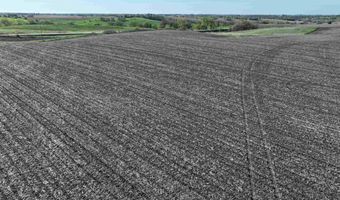 Vine Avenue, Ainsworth, IA 52201