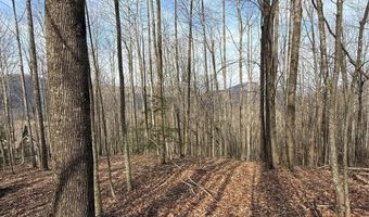 1029 Chippawa Dr 67, Arden, NC 28704