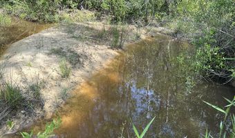 187 Ac Old River Rd, Baker, FL 32531