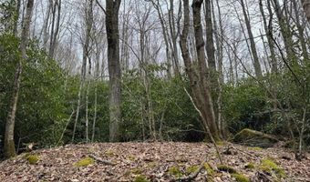 62 Acres Buckeye Ridge Rd, Beech Mountain, NC 28604
