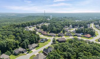 1085 Mountain Side Cv, Alexander, AR 72002