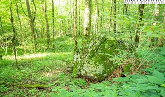 Tbd Tynecastle Drive, Banner Elk, NC 28604