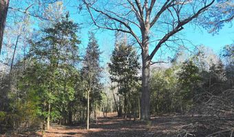 707 Mt Ebal Rd, Batesburg, SC 29006