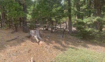 Fargo Rd, Alturas, CA 96101