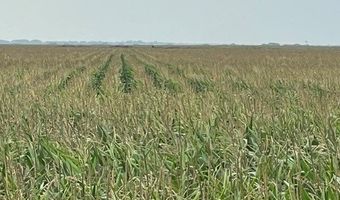 Fm-2044, Alice, TX 78332