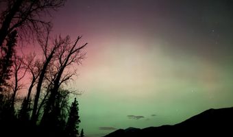 17562 W Swan Shores Rd, Bigfork, MT 59911