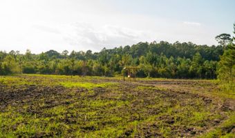 Mann Road, Arabi, GA 31712