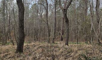 0 HWY 220 TRACT B, Lincolnton, GA 30817