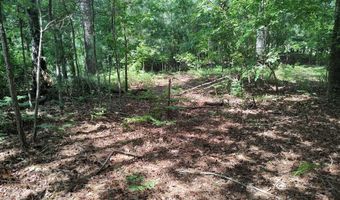 203 Saluda Bluff Rd, Batesburg Leesville, SC 29006