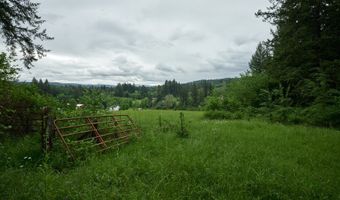 NE 389th St, Amboy, WA 98601