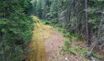 Nhn US Hwy 93, Big Arm, MT 59910