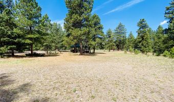 133 Canyon View Dr, Antonito, CO 81120