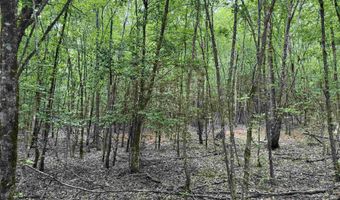 mt Olive Road, Arkadelphia, AR 71923