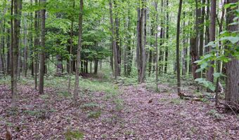 V/L Roseburgh, Alger, MI 48610