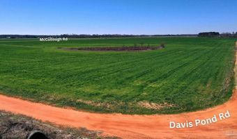 Lot 5 Davis Pond Rd, Atmore, AL 36502