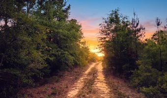 Broadview Avenue, Alford, FL 32420