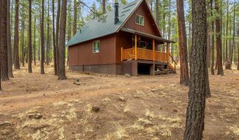 19 Hillcrest Dr, Alpine, AZ 85920
