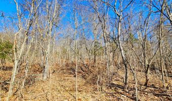 000 Ak Hwy S Ak Hwy S, Ava, MO 65608
