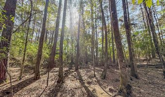 1560 NE Bens Trl, Brookhaven, MS 39601