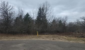 L11 B1 288th Ave Avenue NW, Baldwin Twp., MN 55398