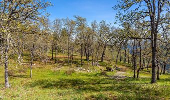 350 BREWER Rd, Appleton, WA 98602