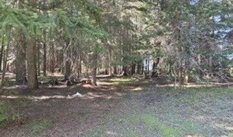 1251 CANYON Rd, Appleton, WA 98602