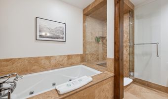 415 E Dean St. Unit 31 Week 11, Aspen, CO 81611