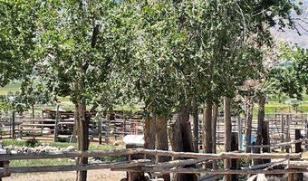 1096 Upper Hotsprings Rd, Challis, ID 83226