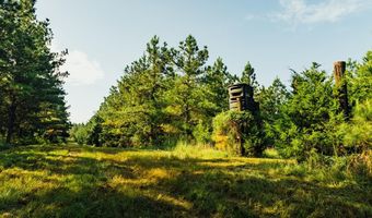 1037 Cr 300, Big Creek, MS 38914
