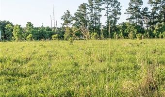 HENRY WHITE Road lot Js4a2, Albany, LA 70711