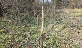 Rr 1 Box 6548, Ava, MO 65608
