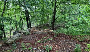 TR D-15 DEER PATH Road, Augusta, WV 26704